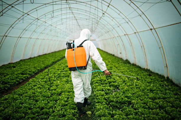 Professional Pest Control in Georgiana, AL