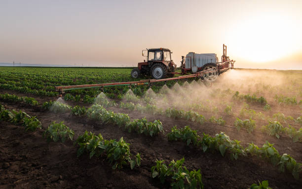Pest Prevention Services in Georgiana, AL