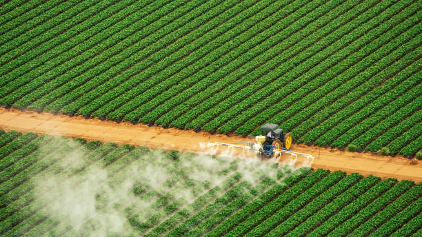 Best Cockroach Control Services  in Georgiana, AL