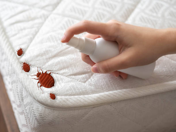 Best Pest Removal Services  in Georgiana, AL