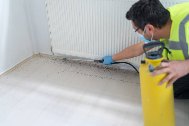 Best Residential Pest Control  in Georgiana, AL