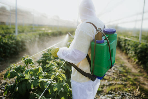 Best Local Pest Control Services  in Georgiana, AL